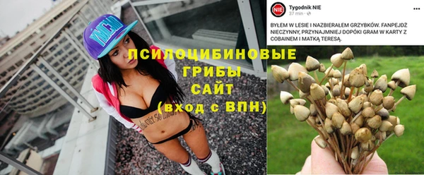 соль ск Волосово