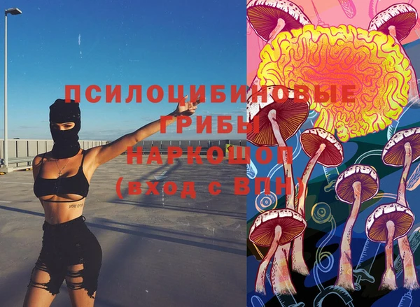 соль ск Волосово