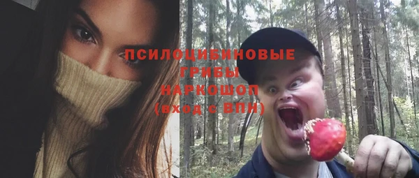 Альфа ПВП Володарск
